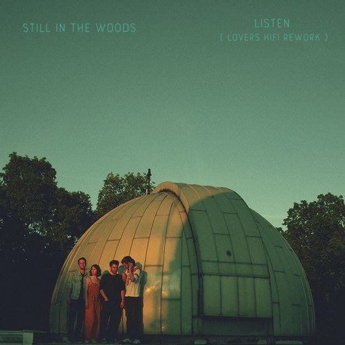 Still In The Woods, Anna Hauss, Lovers Hifi-Listen (Lovers Hifi Rework)
