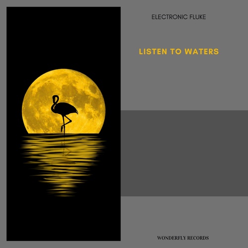 Electronic Fluke-Listen to waters