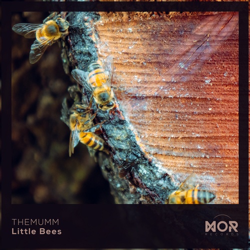 THEMUMM-Little Bees