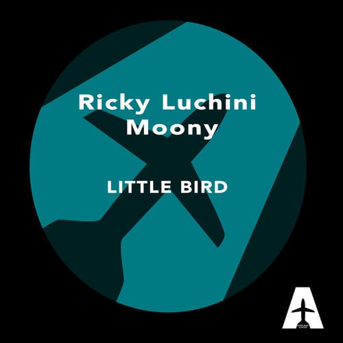Ricky Luchini, Moony, Disko Kriminals, Alex Gaudino, Jason Rooney-Little Bird
