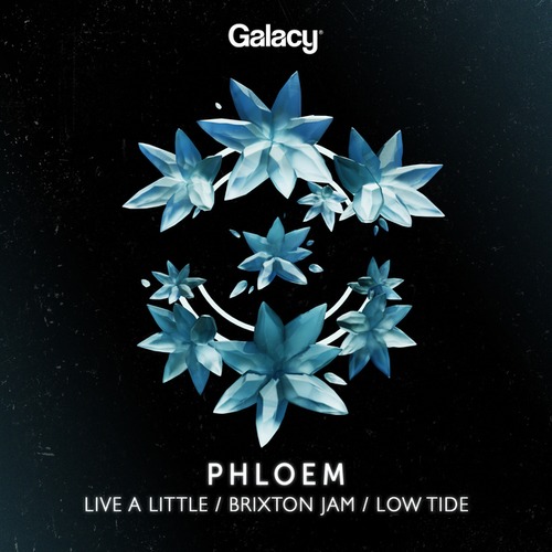 Phloem-Live A Little