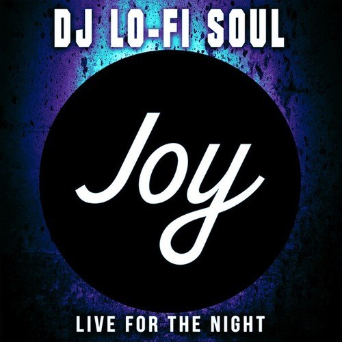 DJ Lo-Fi Soul-Live for the Night