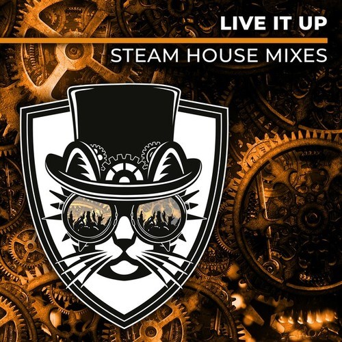 Cats On Bricks, Zach Alwin-Live It Up (Steam House Mixes)