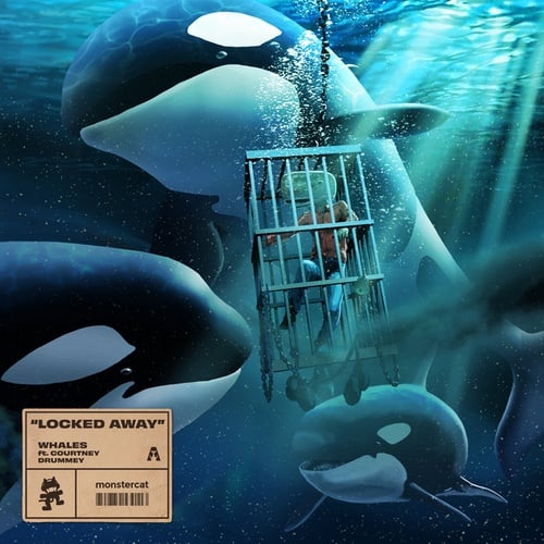 Whales, Courtney Drummey-Locked Away