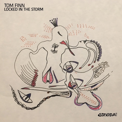 Tom Finn-Locked In The Storm