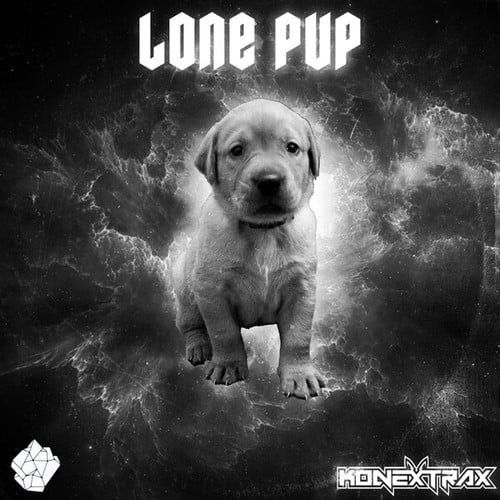 Lone Pup