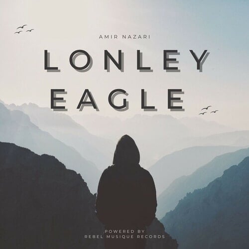 Lonely Eagle