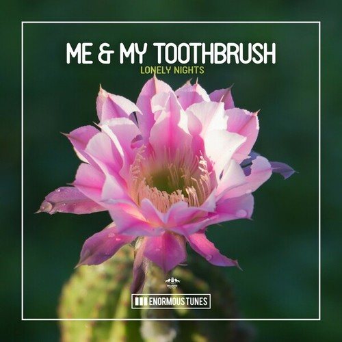 Me & My Toothbrush-Lonely Nights