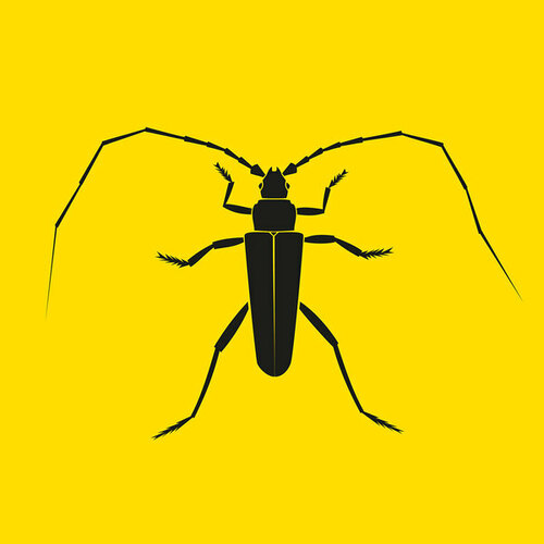 Acidupdub-Longhorn Beetle EP