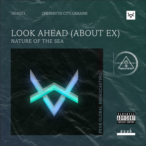 Nature Of The Sea-Look Ahead (About Ex)
