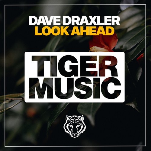 Dave Draxler-Look Ahead