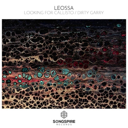 Leossa-Looking for Callisto / Dirty Garry