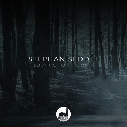 Stephan Seddel-Looking for the Dark