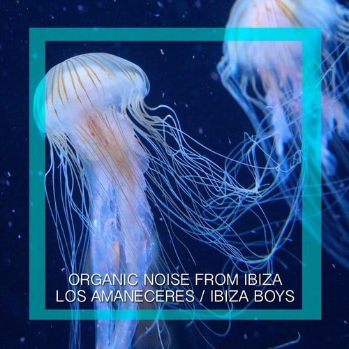 Organic Noise From Ibiza-Los Amaneceres / Ibiza Boys
