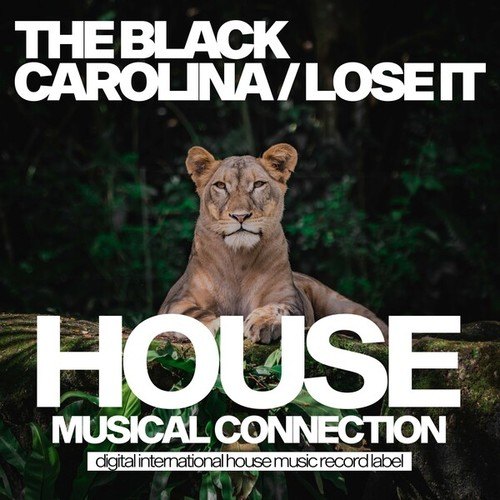 The Black Carolina-Lose It