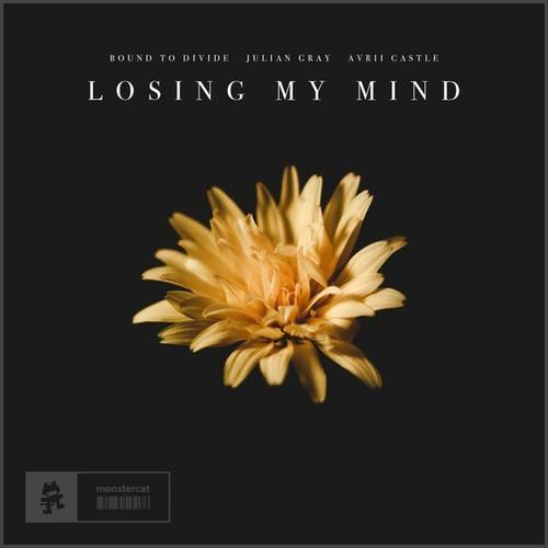 Bound To Divide, Julian Gray, Avrii Castle-Losing My Mind
