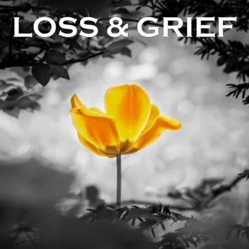 Loss and Grief