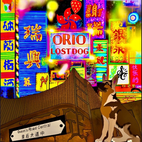 ORIO-Lost Dog