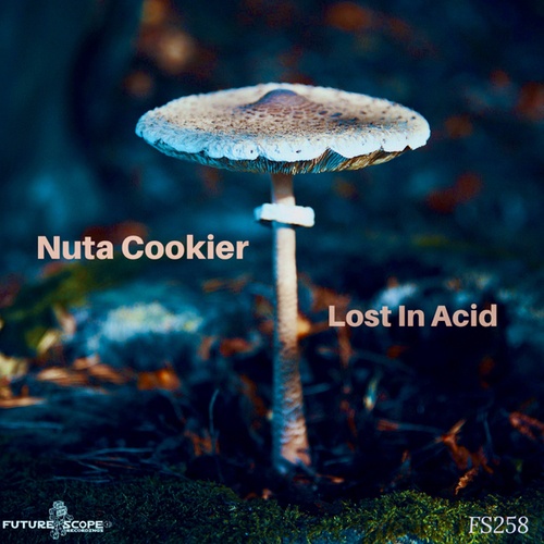 Nuta Cookier-Lost In Acid