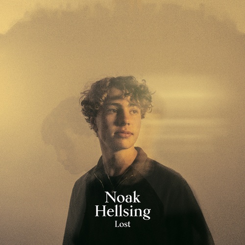 Noak Hellsing-Lost