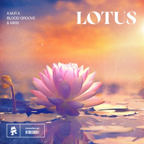 A.M.R, Blood Groove & Kikis-Lotus