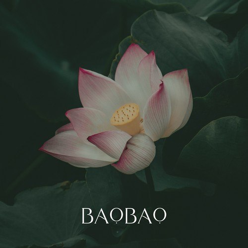 BaoBao-Lotus