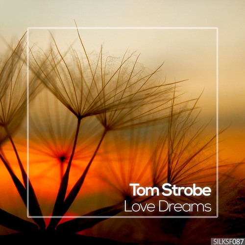 Tom Strobe-Love Dreams