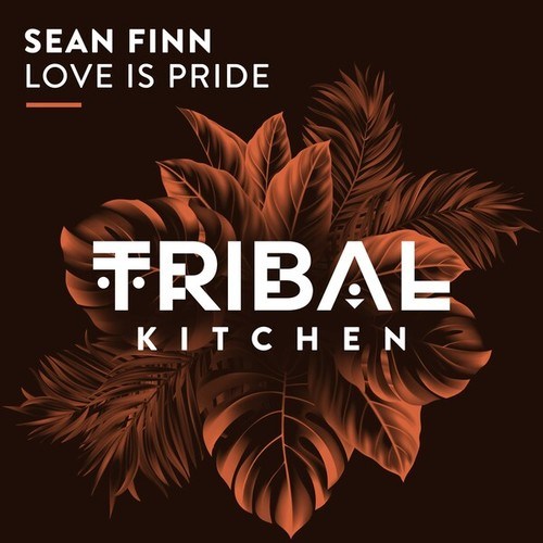 Sean Finn-Love Is Pride