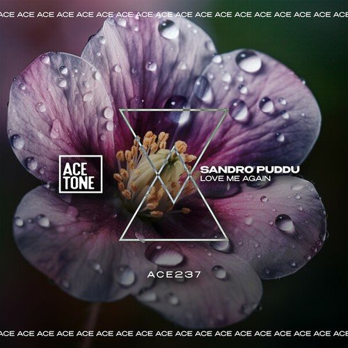 Sandro Puddu-Love Me Again