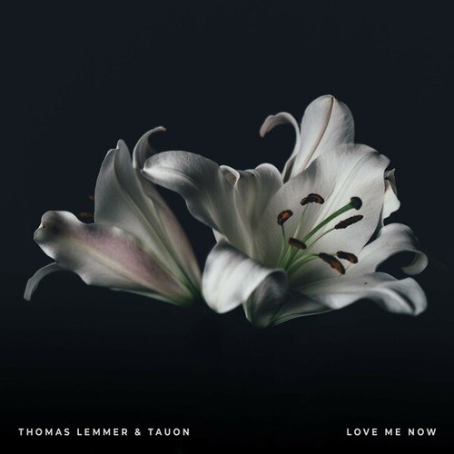 Tauon, Thomas Lemmer-Love Me Now