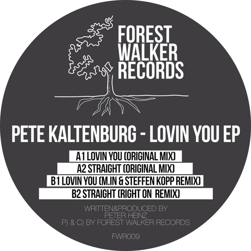 Pete Kaltenburg, Right On, M.in, Steffen Kopp-Lovin You EP