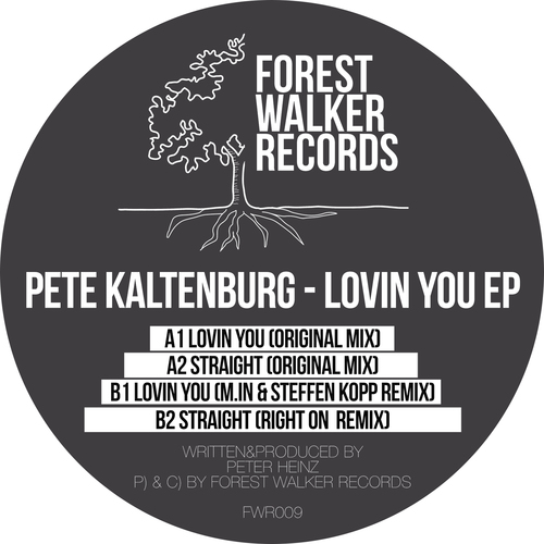 Pete Kaltenburg, M.in, Steffen Kopp, Right On-Lovin You EP