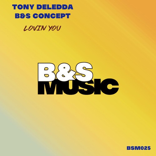 Tony Deledda & B&S Concept-Lovin You