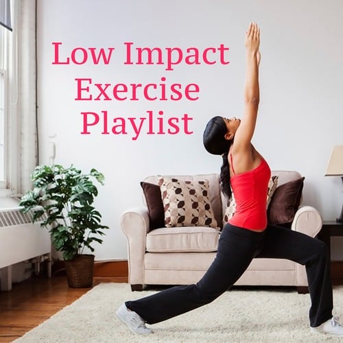 Various Artists-Low Impact Exercise Playlist
