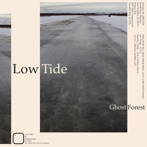 Ghost Forest-Low Tide