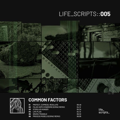 Common Factors, Eomac-Ls05