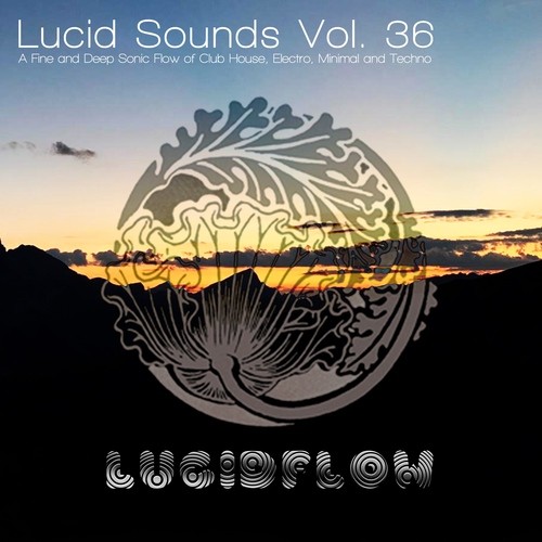 Various Artists-Lucid Sounds, Vol. 36 (A Fine and Deep Sonic Flow of Club House, Electro, Minimal and Techno)