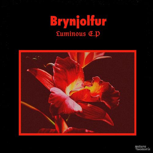 Brynjolfur-Luminous EP