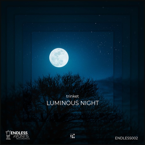 Trinket-Luminous Night