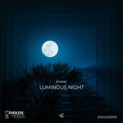 Luminous Night