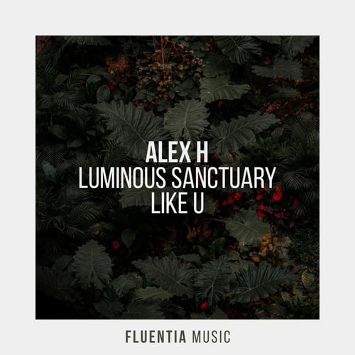 Alex H-Luminous Sanctuary / Like U