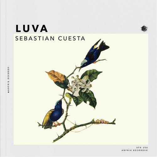 Sebastian Cuesta-Luva