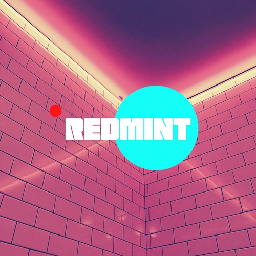 REDMINT-M.I.N.T.(Money Is Never a Thing)