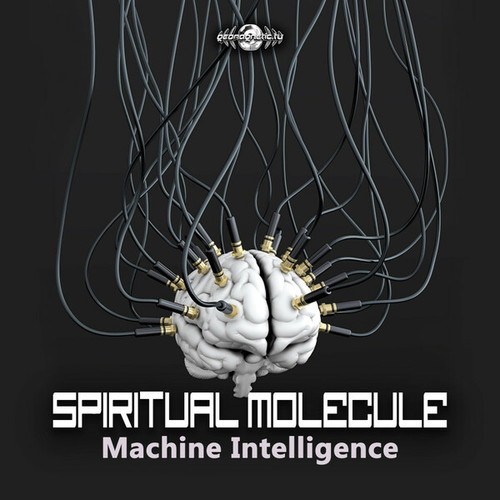 Spiritual Molecule, Garuda, ZZora-Machine Intelligence