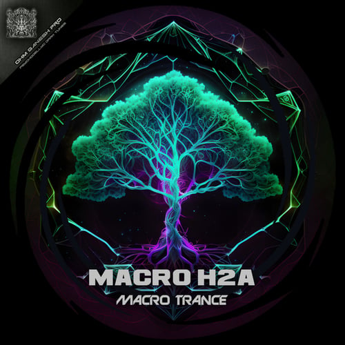 Macro H2A-Macro Trance