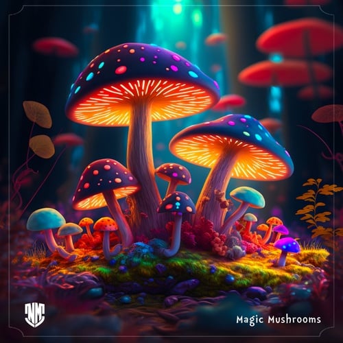 Nolan Mac-Magic Mushrooms
