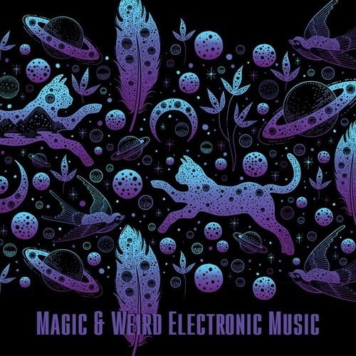 Various Artists-Magic & Weird Electronic Music
