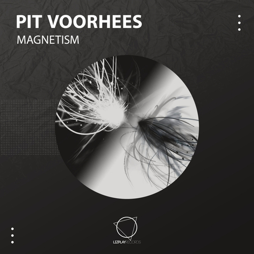 Pit Voorhees-Magnetism