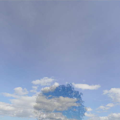 NRV-Magritte Sky