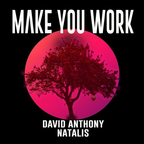 Natalis, David Anthony-Make You Work